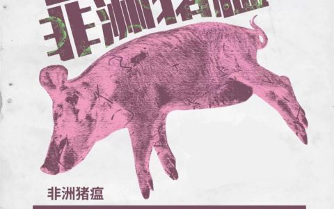 农业农村部：短时间内彻底灭除非洲猪瘟难度极大，打持久战在所难免