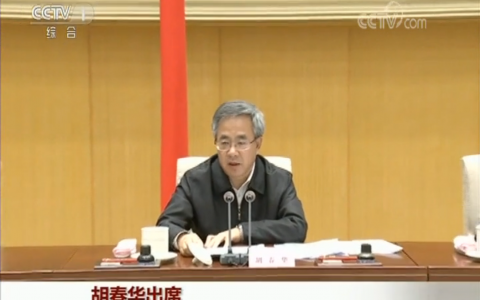 重磅！国务院：胡春华出席全国加强非洲猪瘟防控工作电视电话会议并讲话