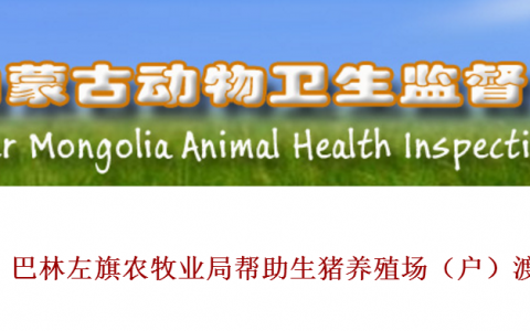 内蒙古巴林左旗2家屠宰企业以高于市场价格收购压栏生猪，到12月30日，全旗无压栏