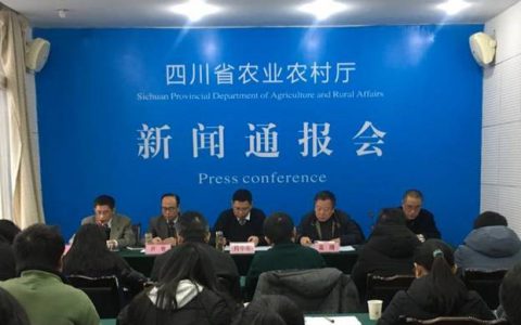 四川省农业农村厅：5起非瘟疫情均因泔水引起，已扑杀生猪约3.5万头