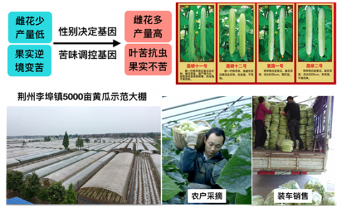 八项成果喜获国家奖 再实现三大奖全覆盖