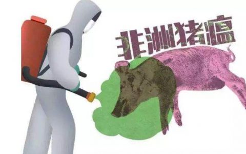 重庆市关于印发《致全市广大生猪从业人员的 公开信》的通知