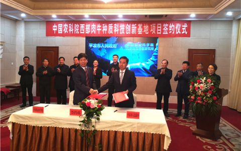 牧医所与平凉市共同打造具有自主知识产权和民族特色的肉牛新品种