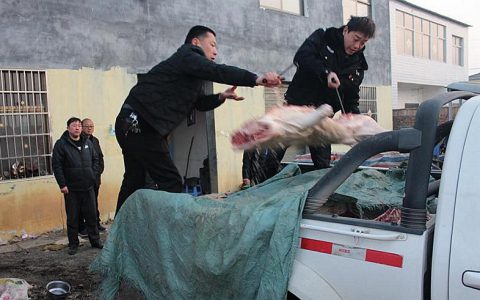 驻马店多部门联合行动 严厉打击私屠滥宰