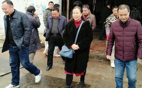 驻马店市开展非洲猪瘟防控和生猪屠宰领域专项治理督导行动