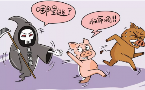 为减少非洲猪瘟等传染病危害，给野猪使用避孕疫苗会有效吗？