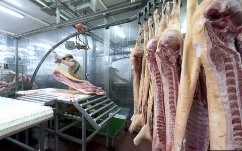 北京平谷区开展假冒伪劣食品联合检查