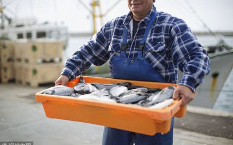 2019年上海市黄浦江和内陆水域禁渔期公告