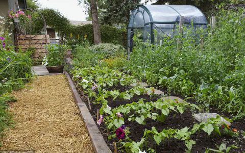 山西产业带贫能力明显提升 特色农业带动95万贫困人口增收