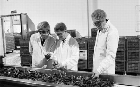 羊肉梯次加工关键技术及产业化：烹羊宰羊的科技跨越