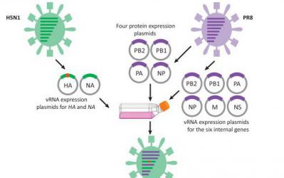 聚焦行业 - 研究进展