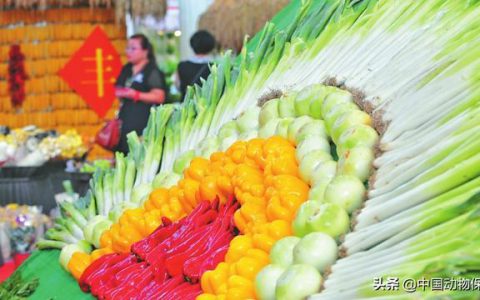 我国首个农业发展绿皮书发布