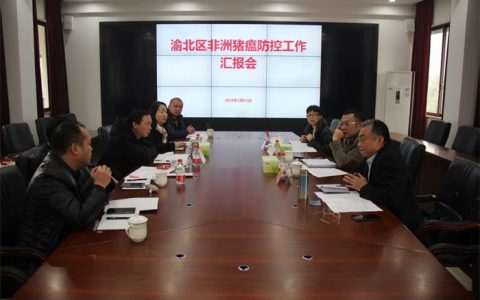 重庆市农委调研渝北非洲猪瘟防控工作