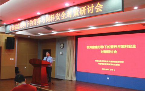 猪业安全生产形势严峻 迫切需要动物营养与饲料科技攻关