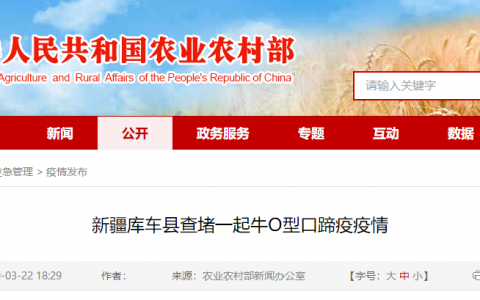 新疆库车县查堵一起牛O型口蹄疫疫情