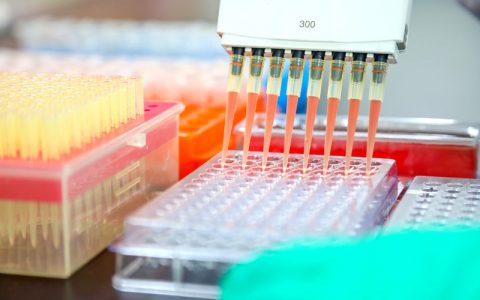 绿色农业   三大粮食作物化肥农药使用量零增长！