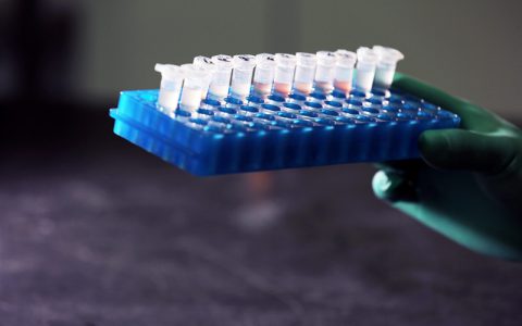 我国成功分离首个非洲猪瘟病毒毒株