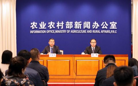 农业农村部  猪肉价格或将阶段性上涨 养殖户可适时补栏