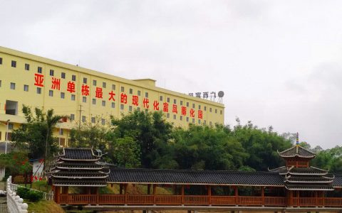 顺势生长，合作共赢 ——访广西富凤集团董事长李非先生