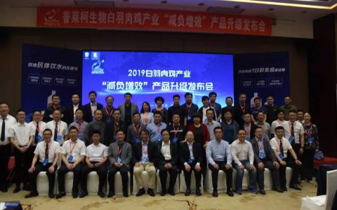 普莱柯生物2019白羽肉鸡产业“减负增效”产品升级发布会成功举办