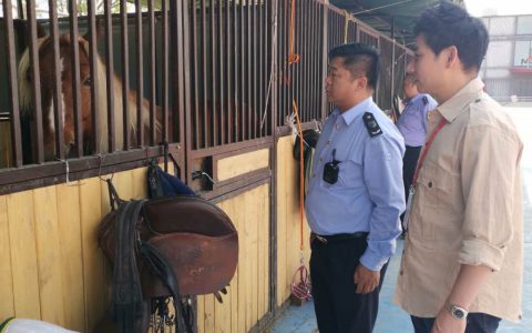 北京朝阳区全程监管马术演出防疫工作