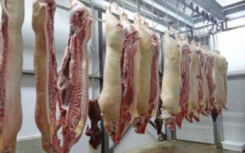 天津市农业农村委对接食品集团生猪生产和猪肉市场供应工作