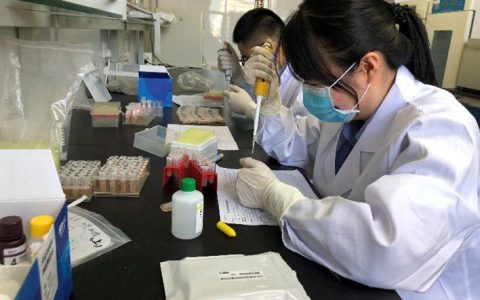 北京：做好抗体水平监测 科学防控犬只狂犬病