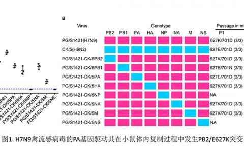 H7N9禽流感病毒适应哺乳动物宿主机制研究方面取得重要进展