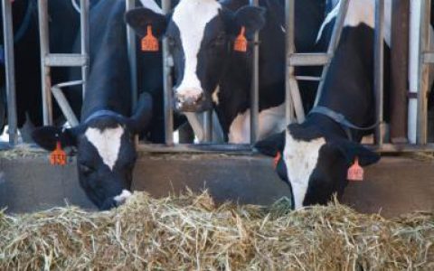 第十届中国奶业大会在天津举办