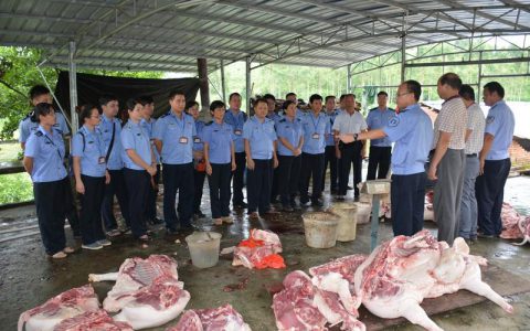 广西钦州市严厉打击生猪私屠滥宰违法行为