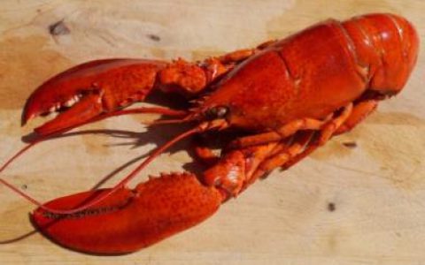 《小龙虾产业发展报告（2019）》小龙虾产业总产值达3690亿元