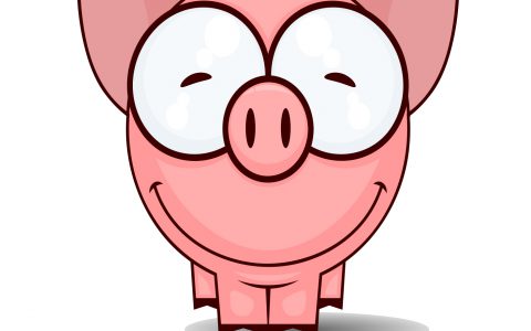 非洲猪瘟依然肆虐，新希望首个海外猪场如期完成验收：建围墙、滤空气、三级洗消