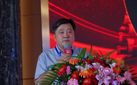 顺势扬帆，循环理论助九洲再启征程