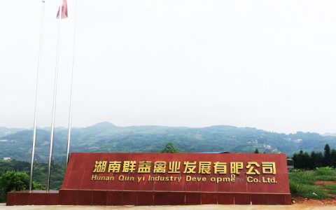 【苗惠中国】群益禽业——苦练产品内功，锻造金牌青年鸡品质
