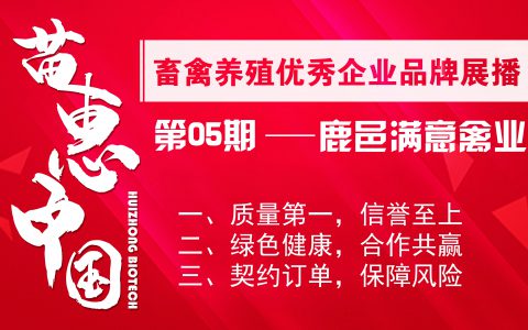 【苗惠中国】满意禽业——“满意牌”肉鸡，让客户更满意