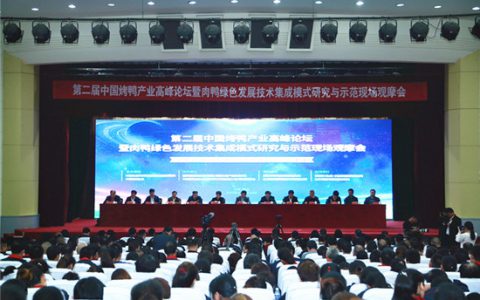 颠覆性创新  肉鸭养殖模式实现“旱养”“免填”