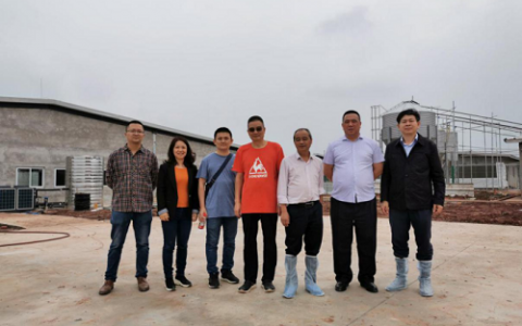 重庆德康公司中国第一个现代化AI种猪场