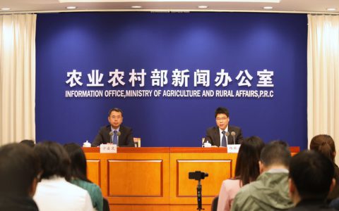 农业农村部就10月份生猪生产形势有关情况 举行例行新闻发布会