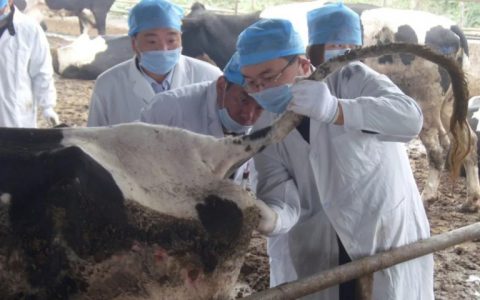 农业农村部办公厅开展向李志勇同志学习活动