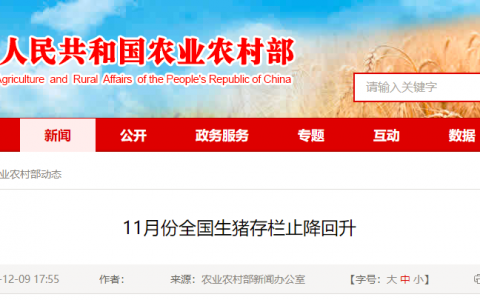 11月份全国生猪存栏止降回升，元旦春节期间猪肉供应形势可能好于预期