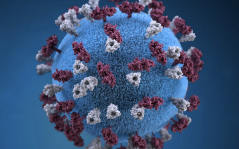 “新冠肺炎”对养殖业打击到底有多大