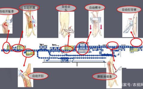 生猪复养技术丨国内外屠宰加工技术