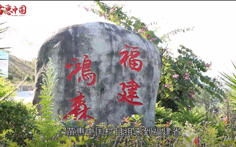 【苗惠中国】福建鸿森，实现一品一码，完成“四化”目标