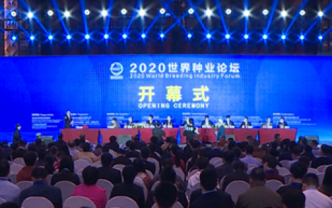 孙好勤副司长在2020世界种业论坛开幕式上的重要讲话