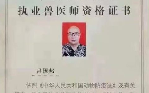 母猪的健康决定小猪的未来