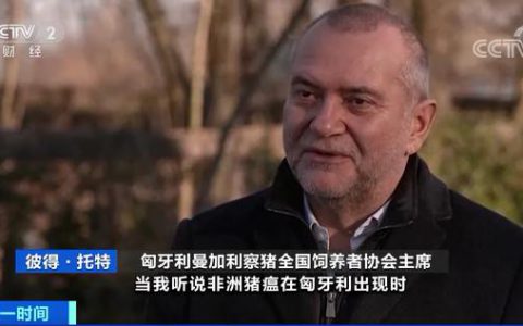 危机预警！这种是一般猪肉价格4倍的猪，因为猪瘟，濒临灭绝了？