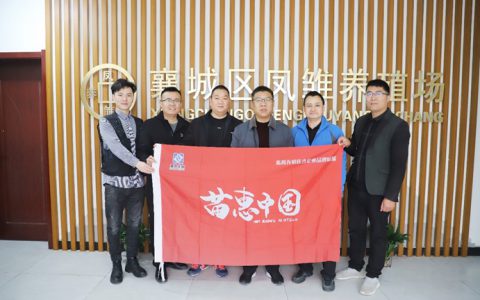 【苗惠中国】高品质青年鸡“养成”之路——访襄城区凤雏养殖场