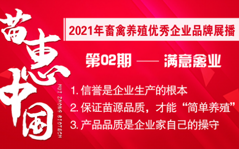 【苗惠中国】三十年坚守自身价值，再出发，打造商品肉鸡全产业链——再访满意禽业