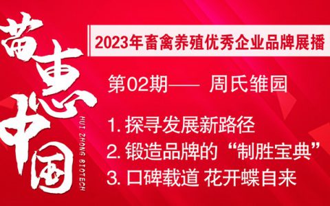 【苗惠中国】以品质赢口碑，打响周氏青年鸡品牌——访周氏雏园