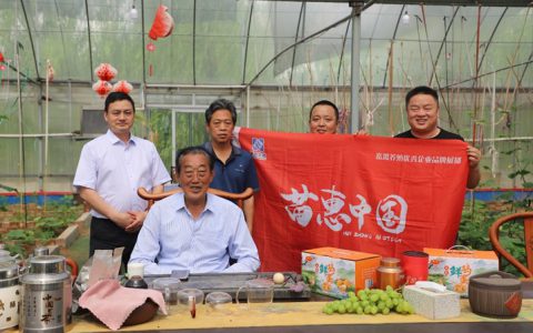 【苗惠中国】星火养蛋鸡40年，从100只到100万只——访河北星火农业开发有限公司